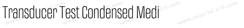 Transducer Test Condensed Medium字体转换